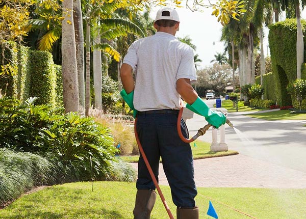 About Joice IA Pest Control